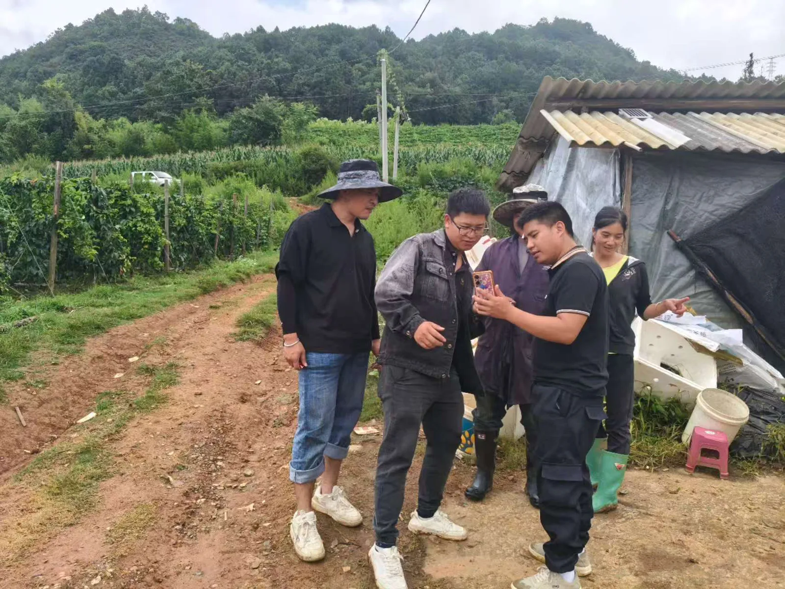 走访现场:会长带队与民悦数字农业团队交流